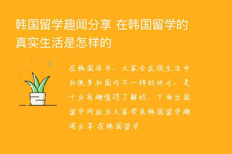 韓國留學趣聞分享 在韓國留學的真實生活是怎樣的