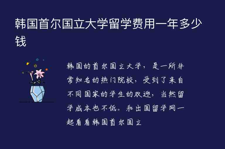 韓國(guó)首爾國(guó)立大學(xué)留學(xué)費(fèi)用一年多少錢