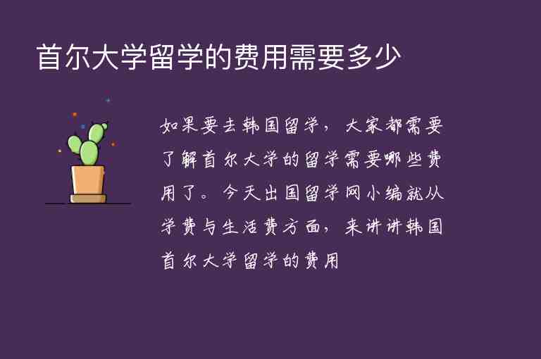 首爾大學留學的費用需要多少