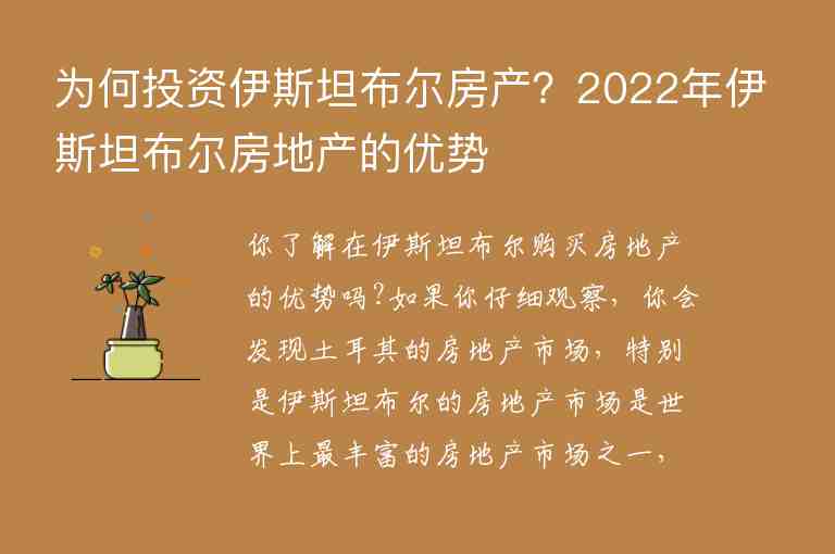 為何投資伊斯坦布爾房產(chǎn)？2022年伊斯坦布爾房地產(chǎn)的優(yōu)勢