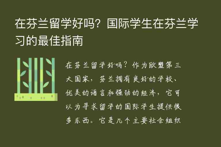 在芬蘭留學(xué)好嗎？國際學(xué)生在芬蘭學(xué)習(xí)的最佳指南