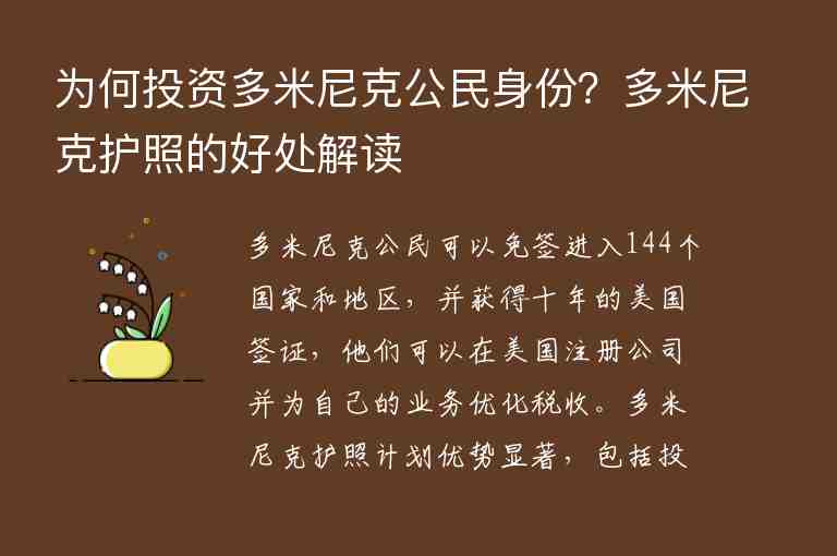 為何投資多米尼克公民身份？多米尼克護(hù)照的好處解讀