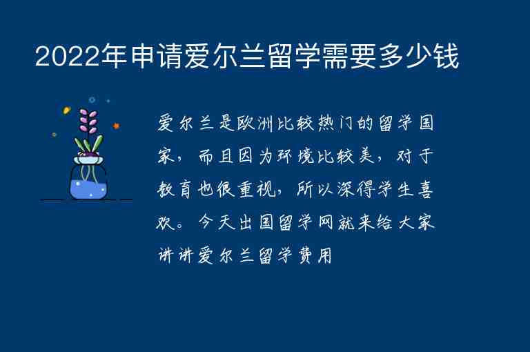 2022年申請愛爾蘭留學需要多少錢