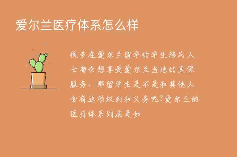 愛爾蘭醫(yī)療體系怎么樣