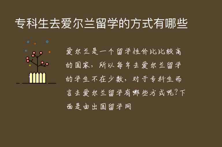 ?？粕蹱柼m留學(xué)的方式有哪些