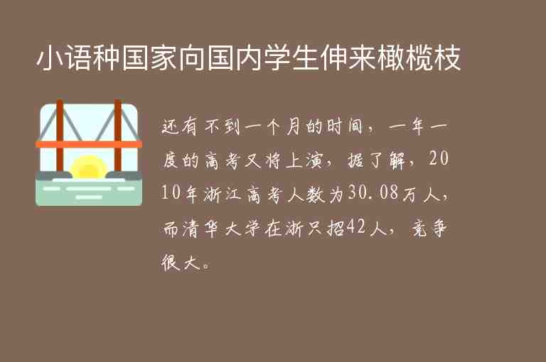 小語種國家向國內(nèi)學(xué)生伸來橄欖枝