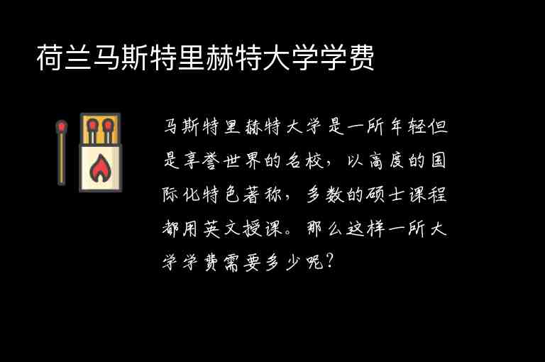 荷蘭馬斯特里赫特大學(xué)學(xué)費