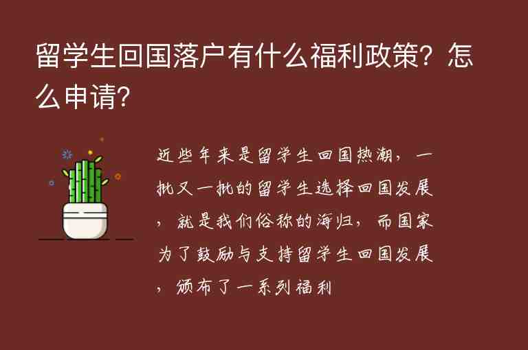 留學(xué)生回國(guó)落戶有什么福利政策？怎么申請(qǐng)？