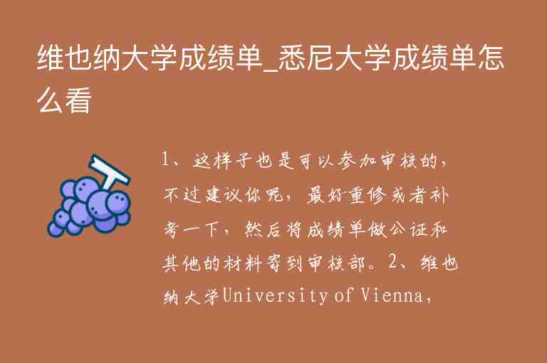 維也納大學成績單_悉尼大學成績單怎么看