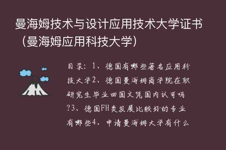 曼海姆技術(shù)與設(shè)計(jì)應(yīng)用技術(shù)大學(xué)證書（曼海姆應(yīng)用科技大學(xué)）