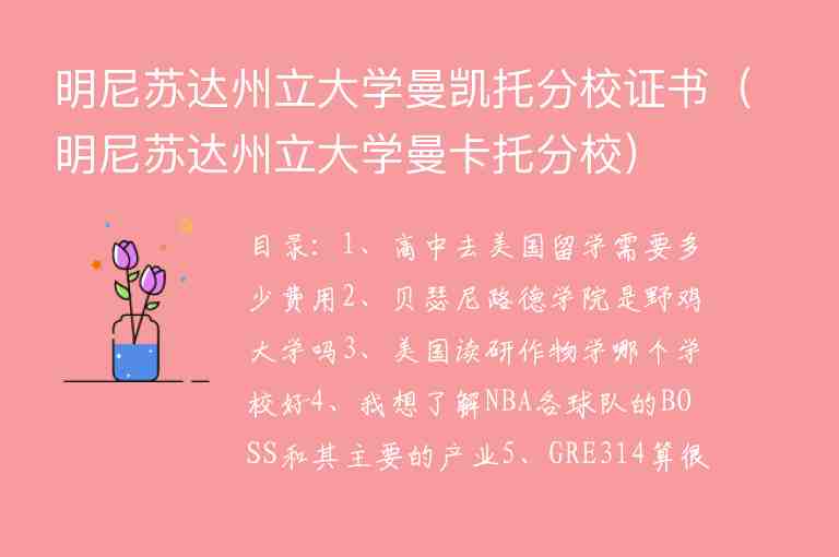 明尼蘇達州立大學曼凱托分校證書（明尼蘇達州立大學曼卡托分校）