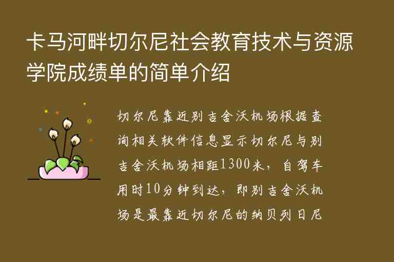 卡馬河畔切爾尼社會(huì)教育技術(shù)與資源學(xué)院成績單的簡單介紹