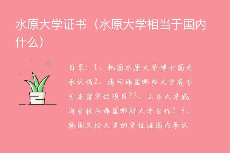 水原大學證書（水原大學相當于國內什么）