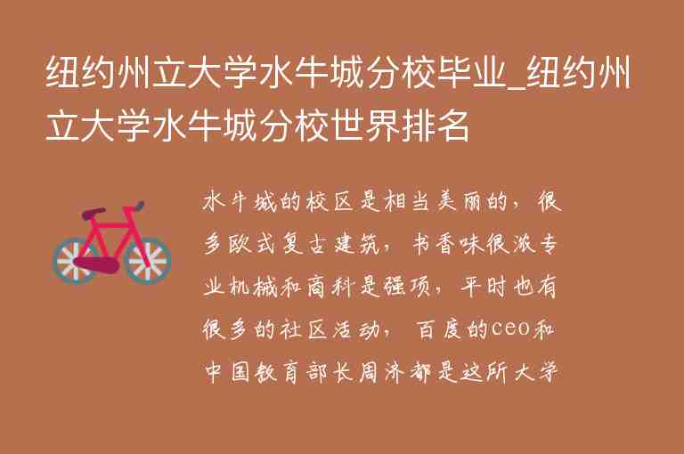 紐約州立大學(xué)水牛城分校畢業(yè)_紐約州立大學(xué)水牛城分校世界排名