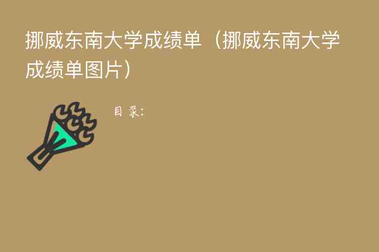 挪威東南大學(xué)成績單（挪威東南大學(xué)成績單圖片）