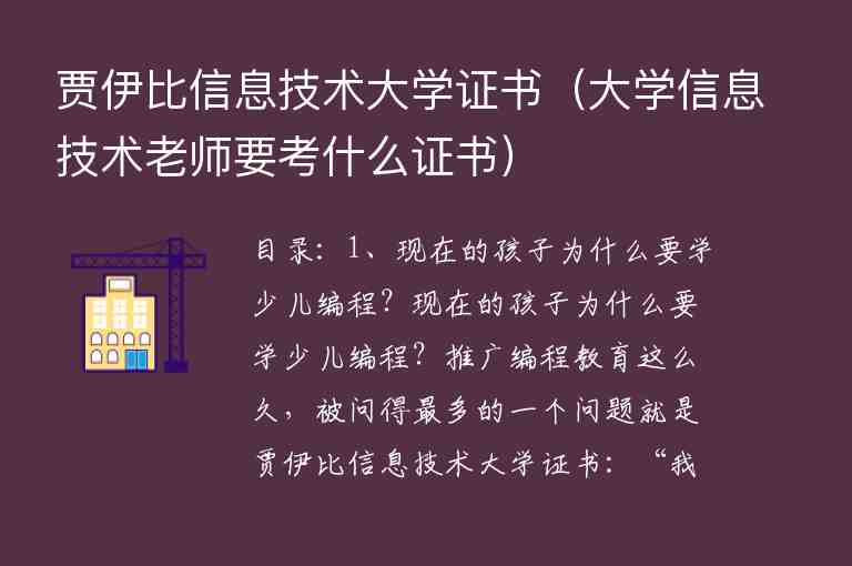 賈伊比信息技術大學證書（大學信息技術老師要考什么證書）