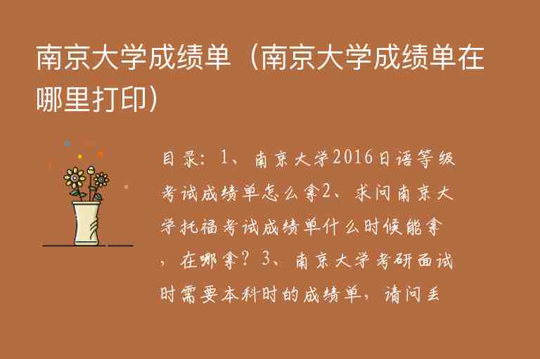 南京大學(xué)成績單（南京大學(xué)成績單在哪里打印）