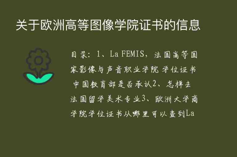 關(guān)于歐洲高等圖像學(xué)院證書的信息