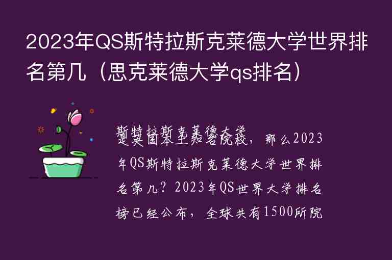 2023年QS斯特拉斯克萊德大學世界排名第幾（思克萊德大學qs排名）