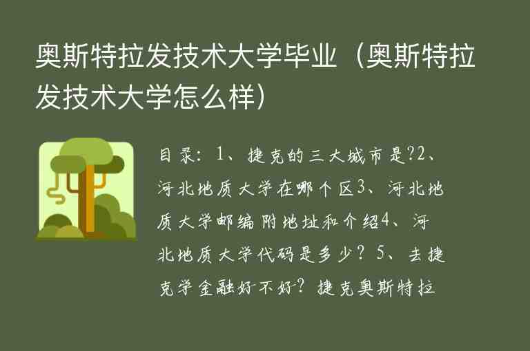 奧斯特拉發(fā)技術(shù)大學(xué)畢業(yè)（奧斯特拉發(fā)技術(shù)大學(xué)怎么樣）