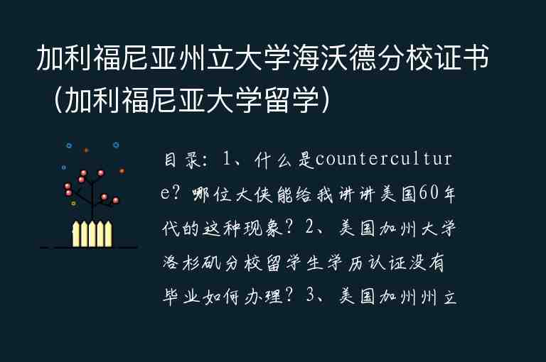 加利福尼亞州立大學(xué)海沃德分校證書（加利福尼亞大學(xué)留學(xué)）