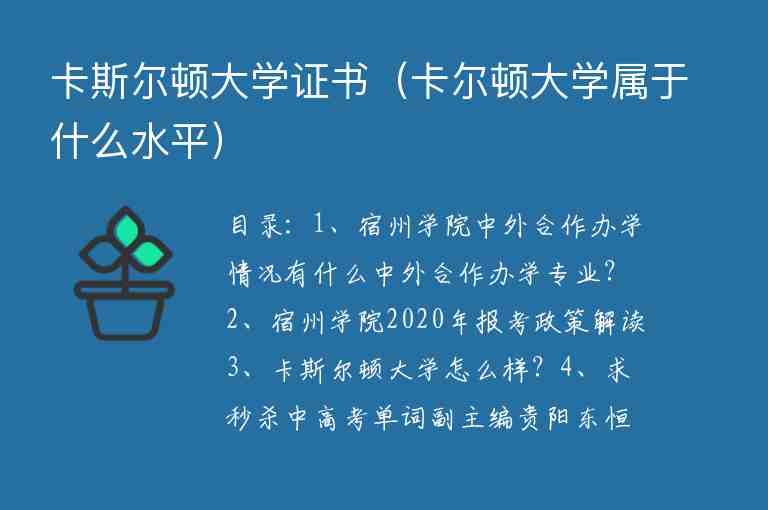 卡斯爾頓大學證書（卡爾頓大學屬于什么水平）