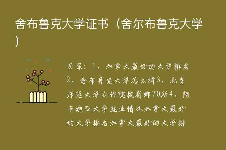 舍布魯克大學(xué)證書（舍爾布魯克大學(xué)）