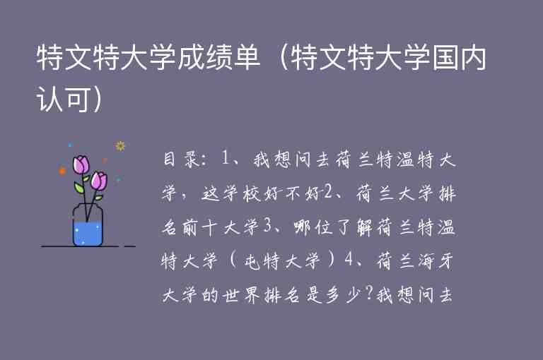 特文特大學成績單（特文特大學國內認可）