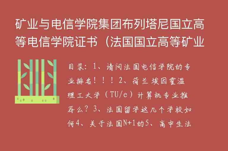 礦業(yè)與電信學(xué)院集團布列塔尼國立高等電信學(xué)院證書（法國國立高等礦業(yè)電信學(xué)校聯(lián)盟）