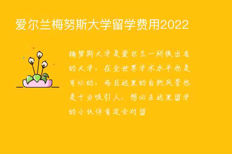 愛爾蘭梅努斯大學(xué)留學(xué)費用2022