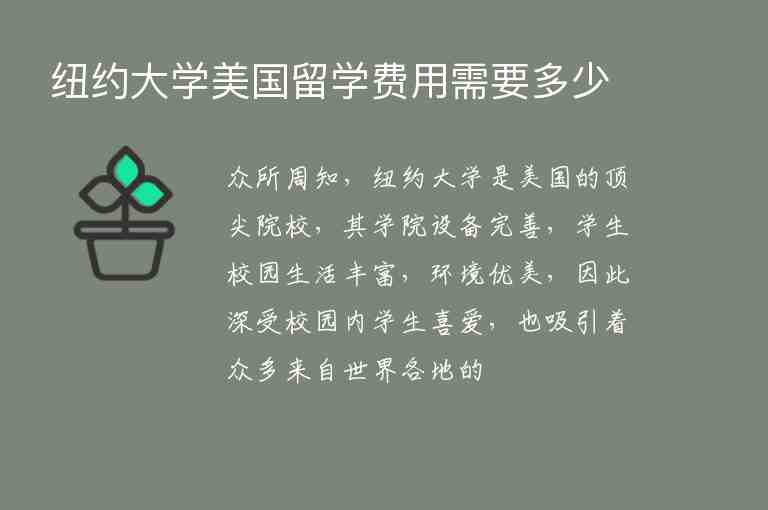 紐約大學(xué)美國留學(xué)費用需要多少