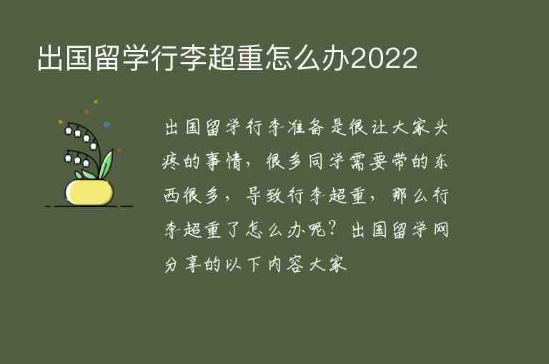 出國(guó)留學(xué)行李超重怎么辦2022