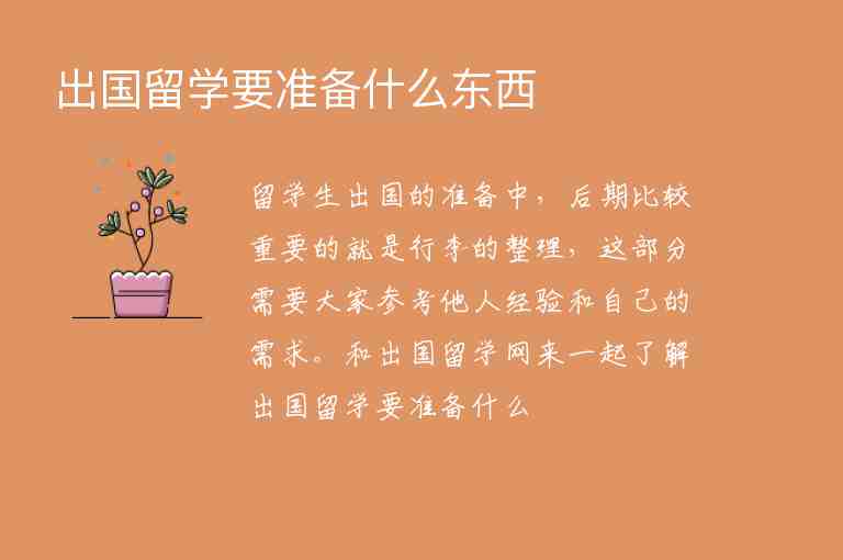 出國留學(xué)要準(zhǔn)備什么東西