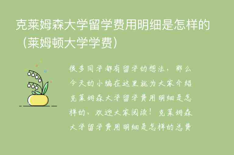 克萊姆森大學留學費用明細是怎樣的（萊姆頓大學學費）