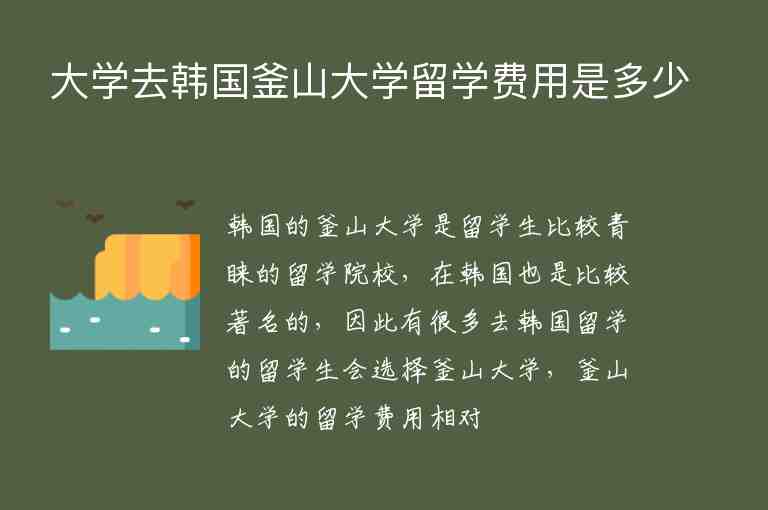 大學(xué)去韓國釜山大學(xué)留學(xué)費用是多少