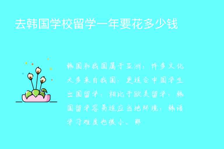 去韓國學(xué)校留學(xué)一年要花多少錢