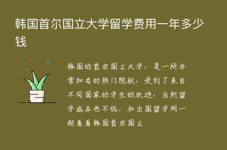 韓國首爾國立大學(xué)留學(xué)費(fèi)用一年多少錢