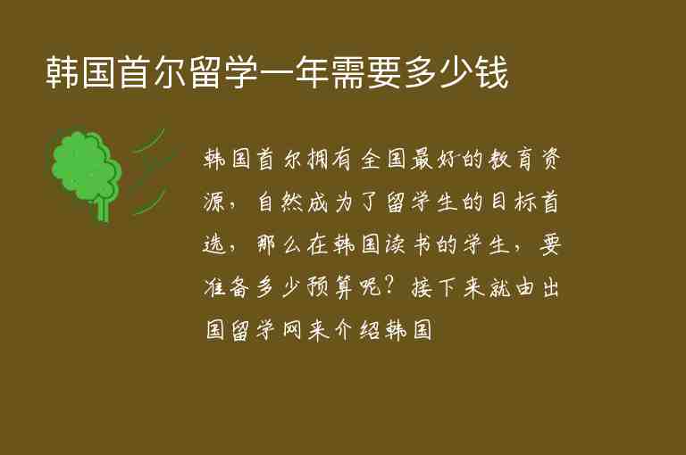 韓國首爾留學(xué)一年需要多少錢