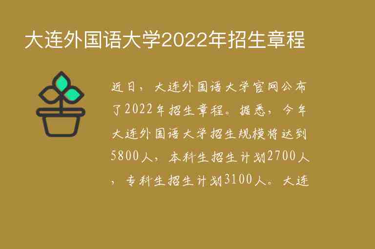 大連外國(guó)語(yǔ)大學(xué)2022年招生章程