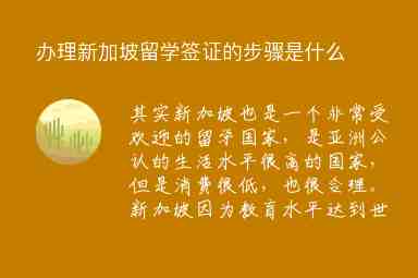 辦理新加坡留學(xué)簽證的步驟是什么