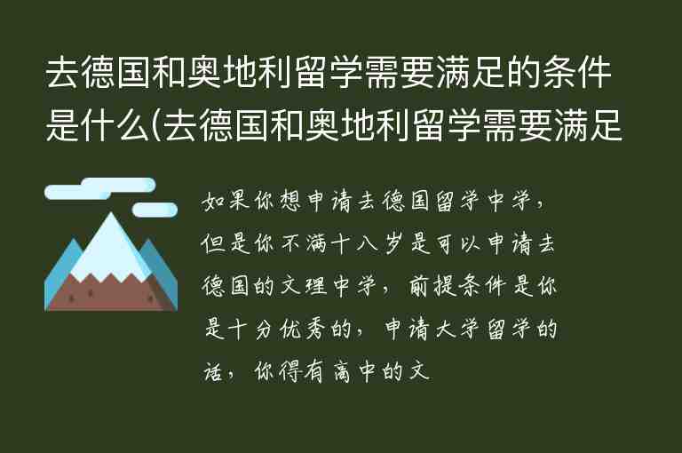 去德國(guó)和奧地利留學(xué)需要滿足的條件是什么(去德國(guó)和奧地利留學(xué)需要滿足的條件是什么)