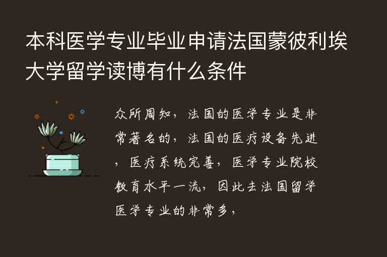 本科醫(yī)學(xué)專業(yè)畢業(yè)申請法國蒙彼利埃大學(xué)留學(xué)讀博有什么條件