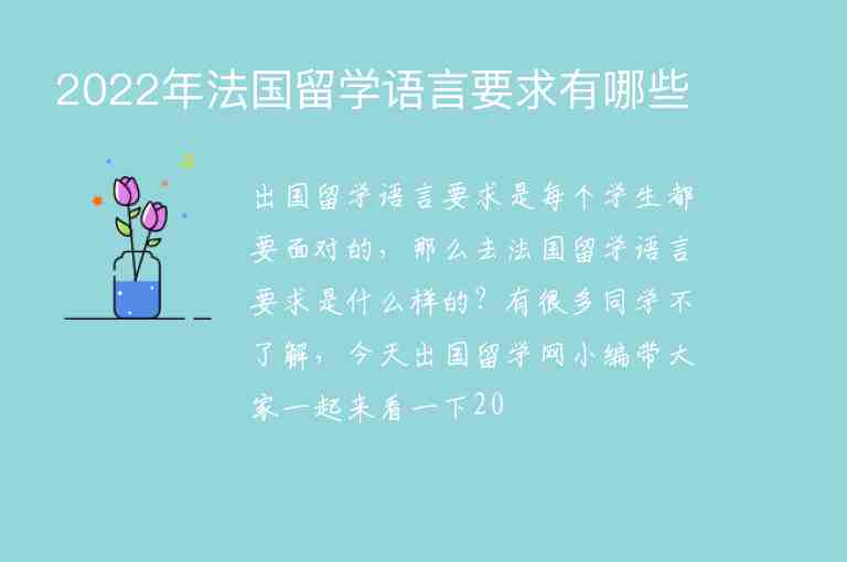 2022年法國(guó)留學(xué)語(yǔ)言要求有哪些