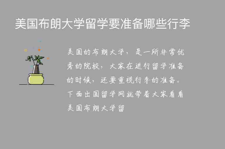 美國布朗大學(xué)留學(xué)要準(zhǔn)備哪些行李