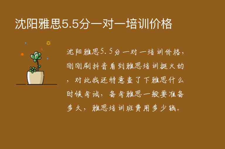 沈陽雅思5.5分一對一培訓價格