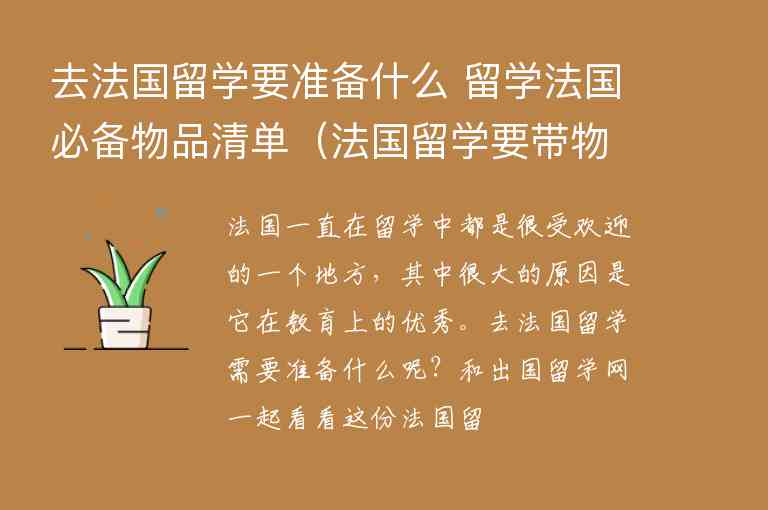 去法國留學(xué)要準(zhǔn)備什么 留學(xué)法國必備物品清單（法國留學(xué)要帶物品清單）