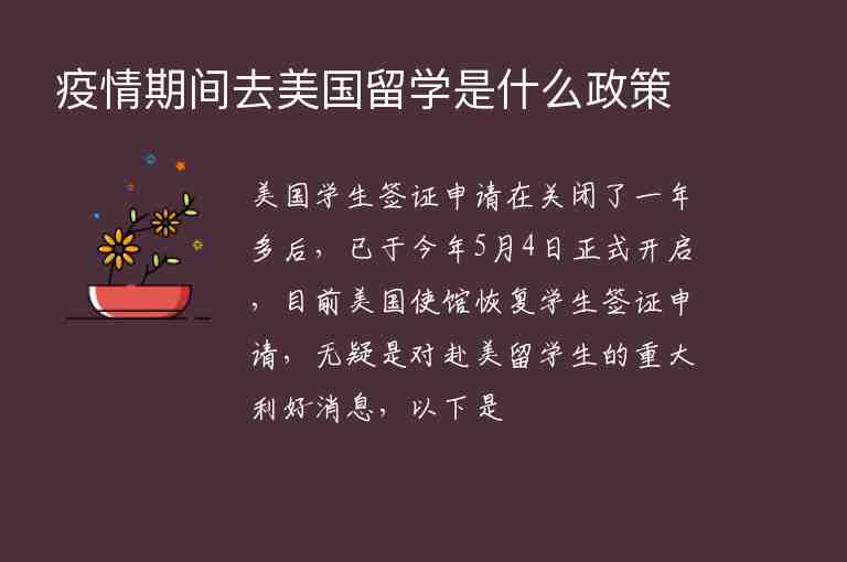 疫情期間去美國留學(xué)是什么政策