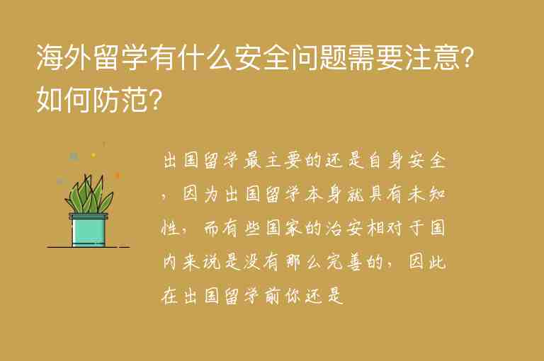 海外留學有什么安全問題需要注意？如何防范？