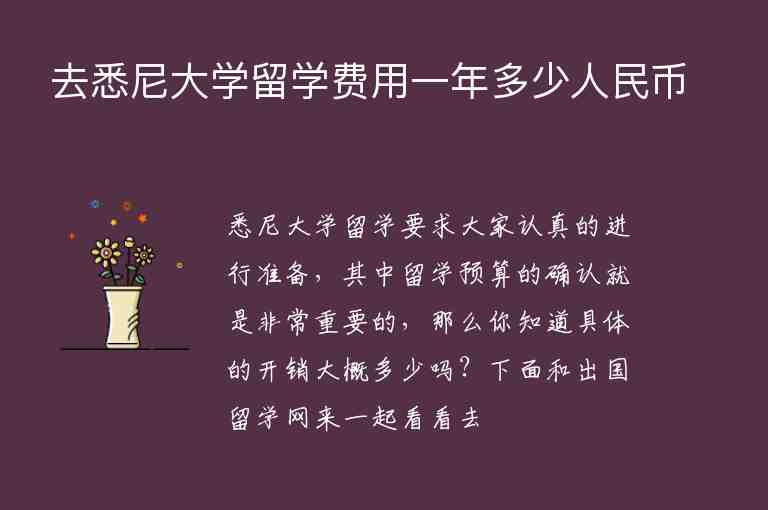 去悉尼大學留學費用一年多少人民幣