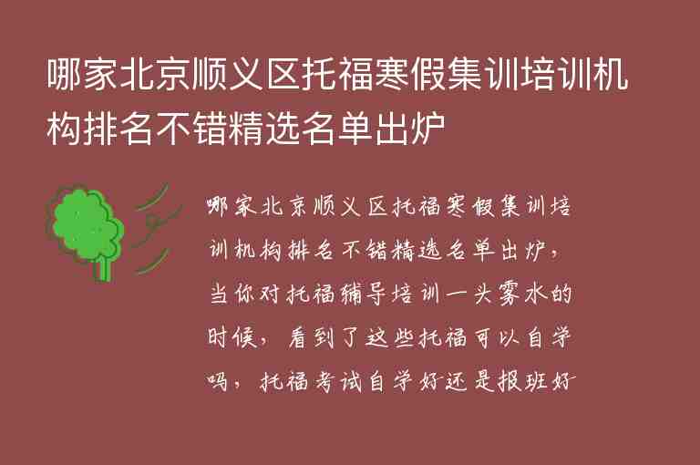 哪家北京順義區(qū)托福寒假集訓培訓機構排名不錯精選名單出爐